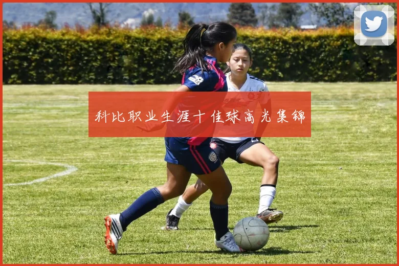 科比职业生涯十佳球高光集锦