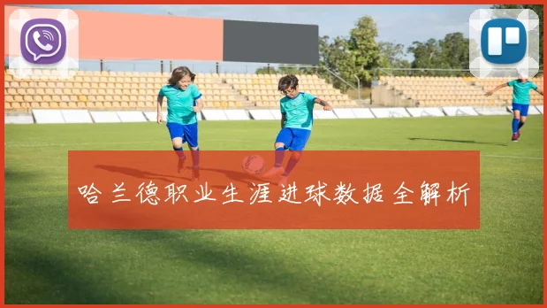 哈兰德职业生涯进球数据全解析