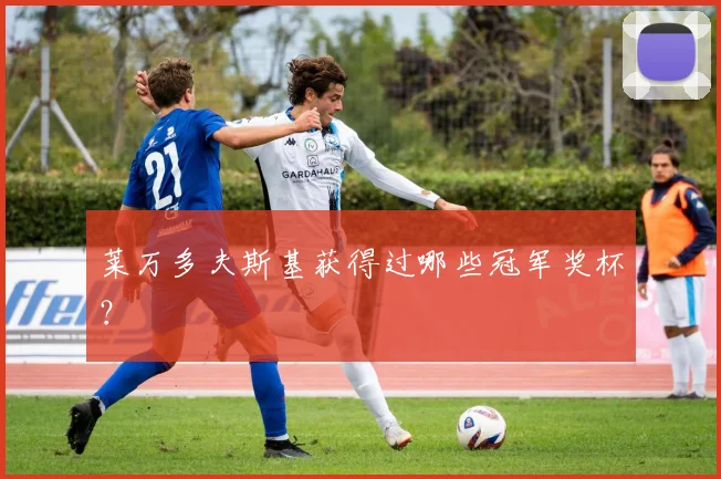 莱万多夫斯基获得过哪些冠军奖杯？