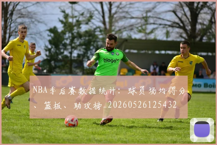 NBA季后赛数据统计:球员场均得分、篮板、助攻榜_20260526125432